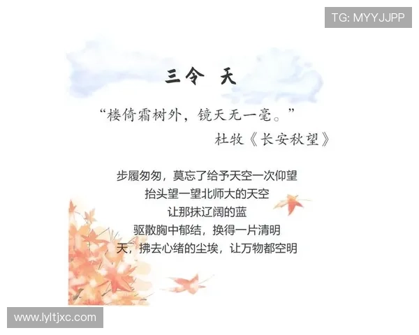 天天亦铭:让每一次呼吸都成为生活的诗篇 天天亦铭:让每一次呼吸都成为生活的诗篇